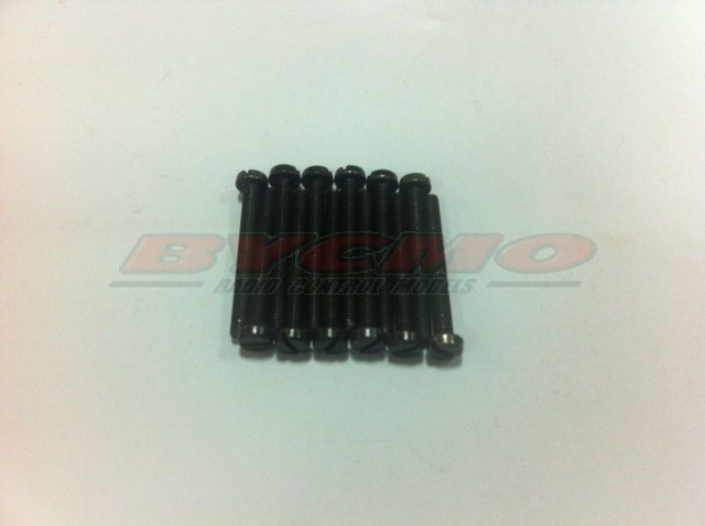TORNILLO M3x25 D.84 ZN (12ud.)