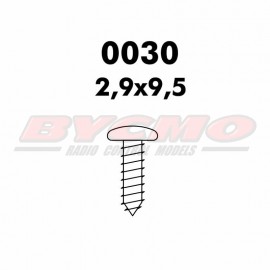 TORNILLO PARKER 2,9x9,5 D.7981 (12ud.)